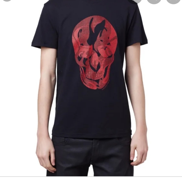 Alexander McQueen Other - Alexander Mcqueen Prince of Whales skull tee
